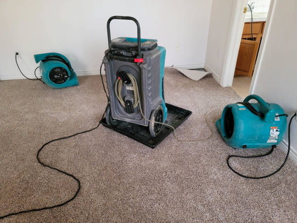 Best Ceiling water damage repair  in Pevely, MO