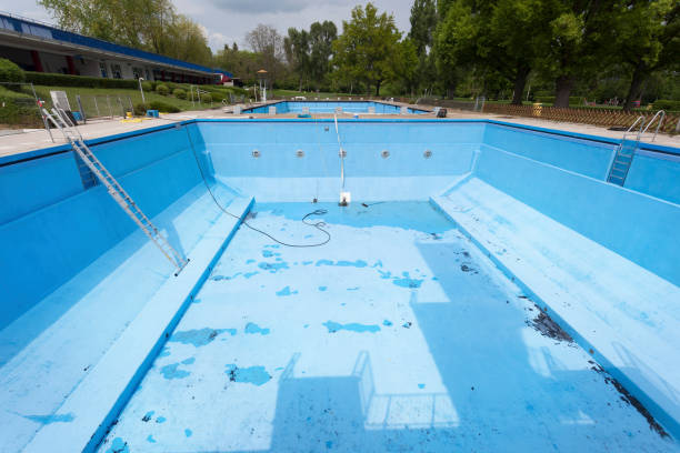 Best Mold removal after water damage  in Pevely, MO