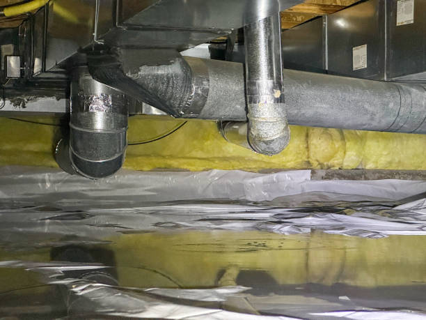 Best Water damage contractors near me  in Pevely, MO