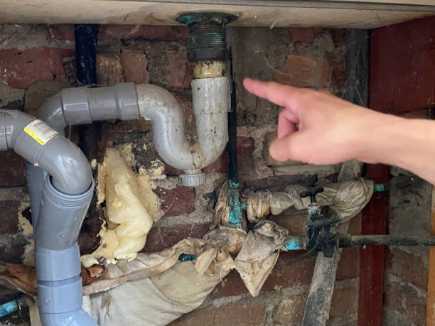 Best Water damage cleanup near me  in Pevely, MO